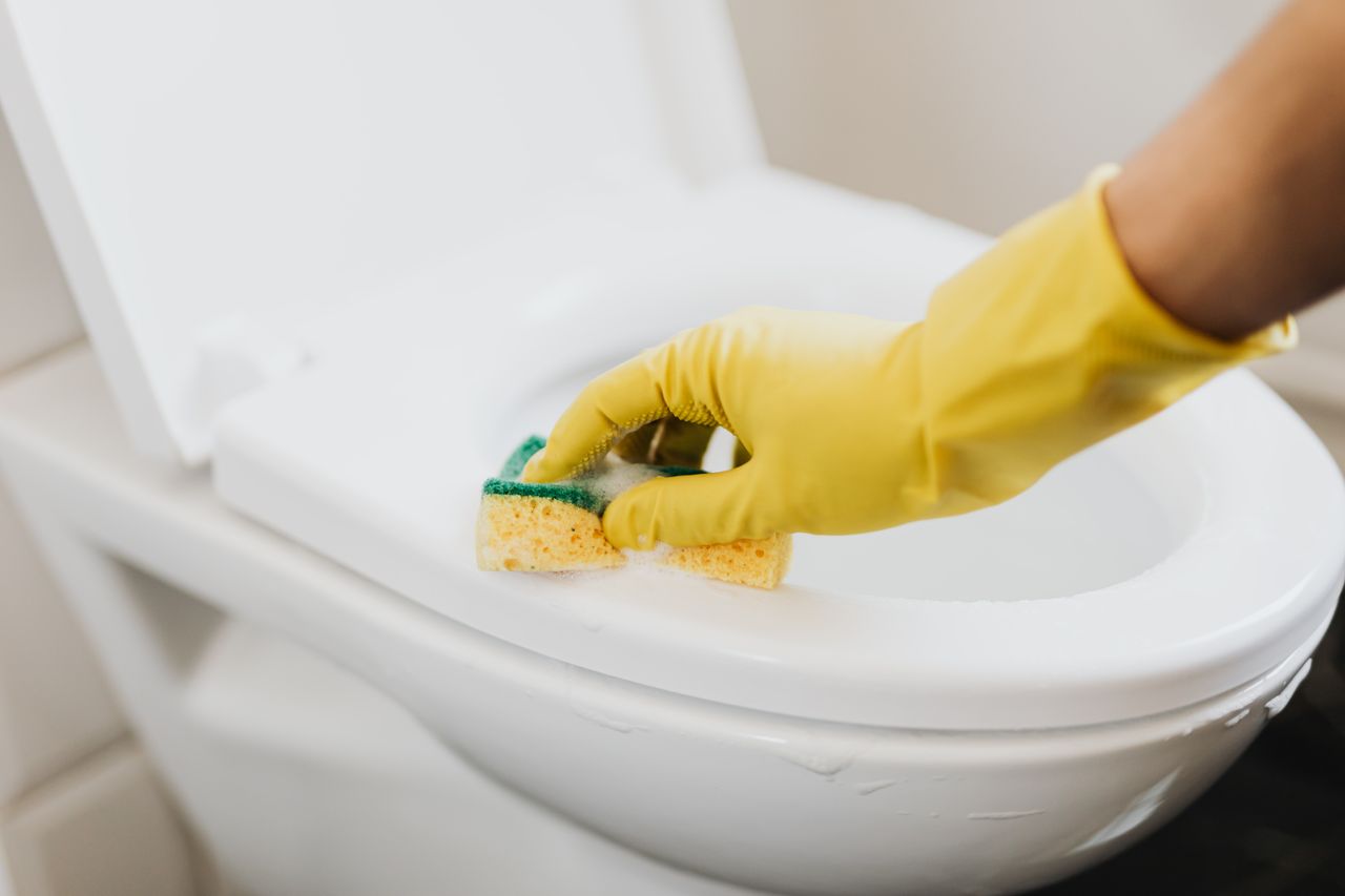 project-01-d From above of crop anonymous person in rubber gloves using soapy sponge while cleaning toilet bowl